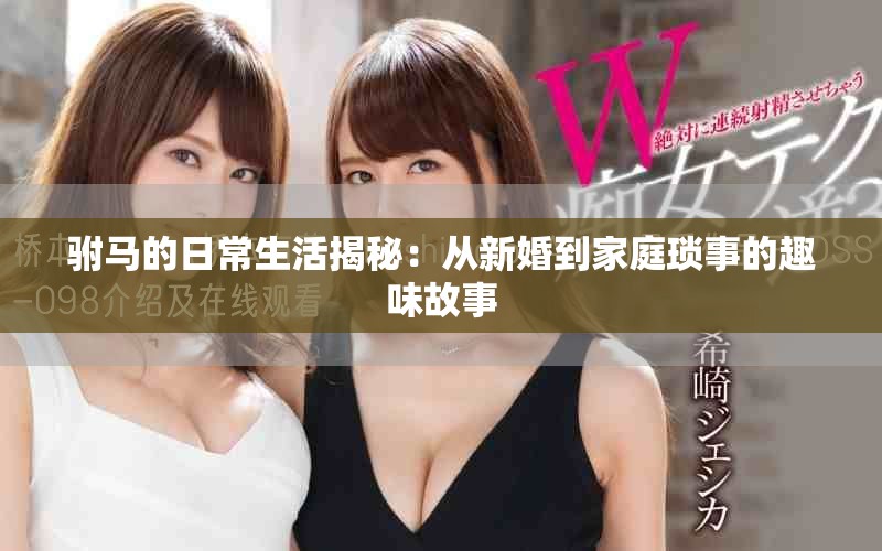 驸马的日常生活揭秘：从新婚到家庭琐事的趣味故事