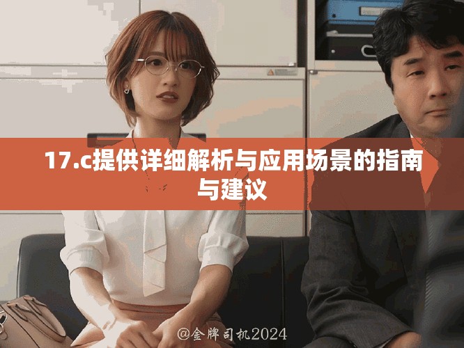 17.c提供详细解析与应用场景的指南与建议