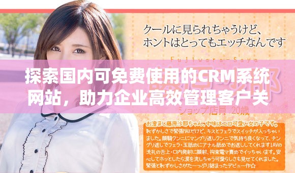 探索国内可免费使用的CRM系统网站，助力企业高效管理客户关系