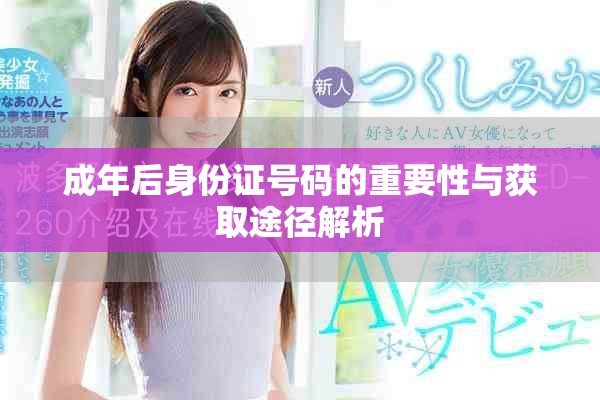 成年后身份证号码的重要性与获取途径解析