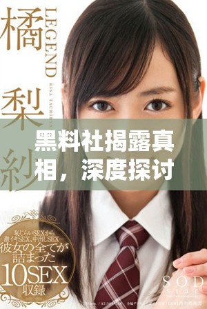 黑料社揭露真相，深度探讨社会隐藏的阴暗面