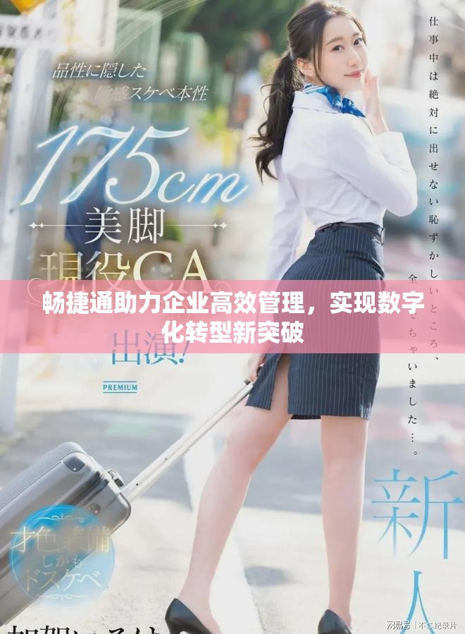 畅捷通助力企业高效管理，实现数字化转型新突破